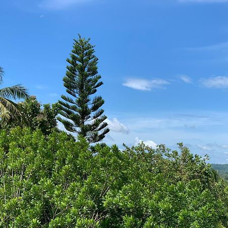 ディックウェラ Thaproo Bay Hiriketiya Bed & Breakfast エクステリア 写真