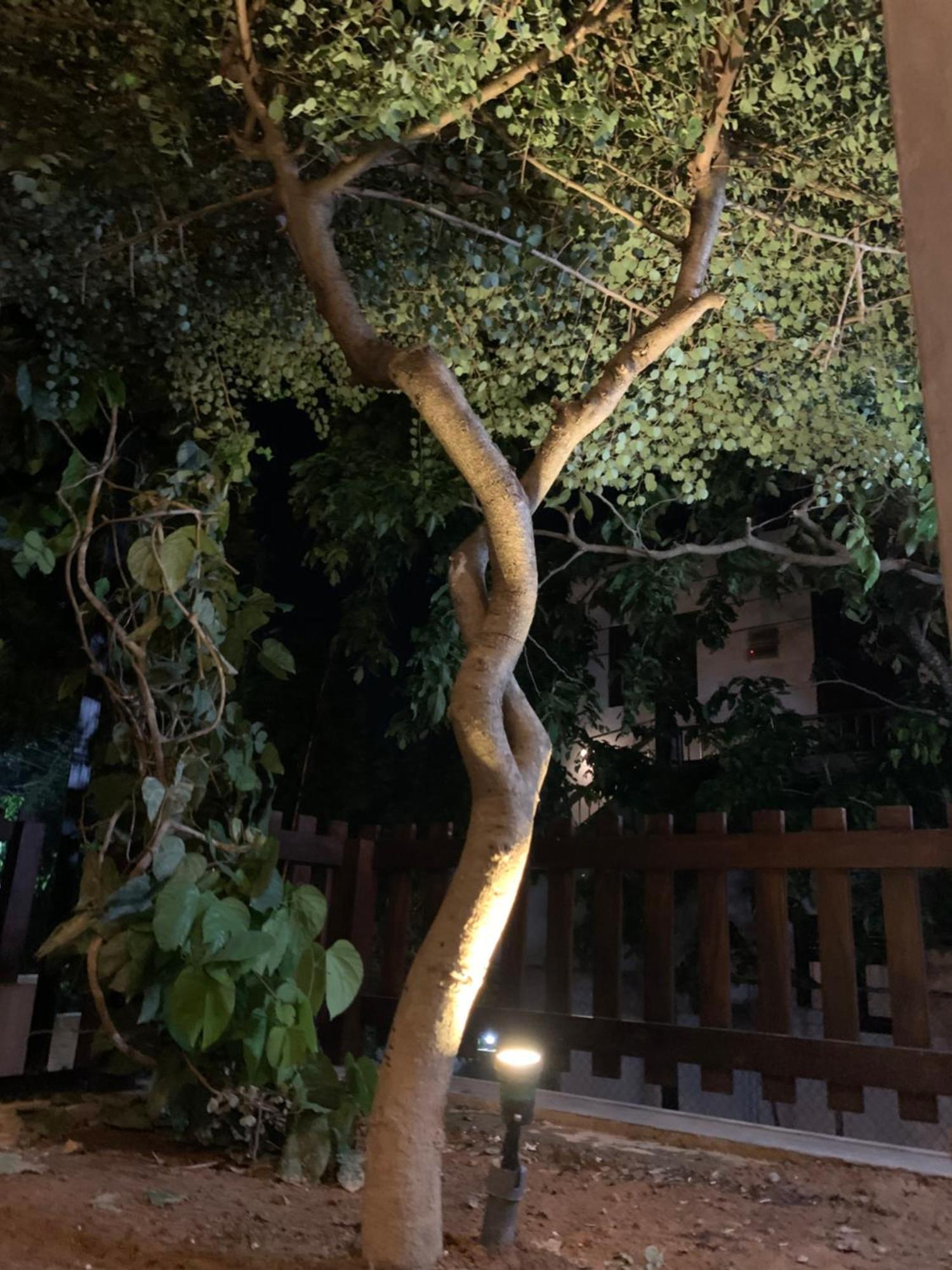 ディックウェラ Thaproo Bay Hiriketiya Bed & Breakfast エクステリア 写真