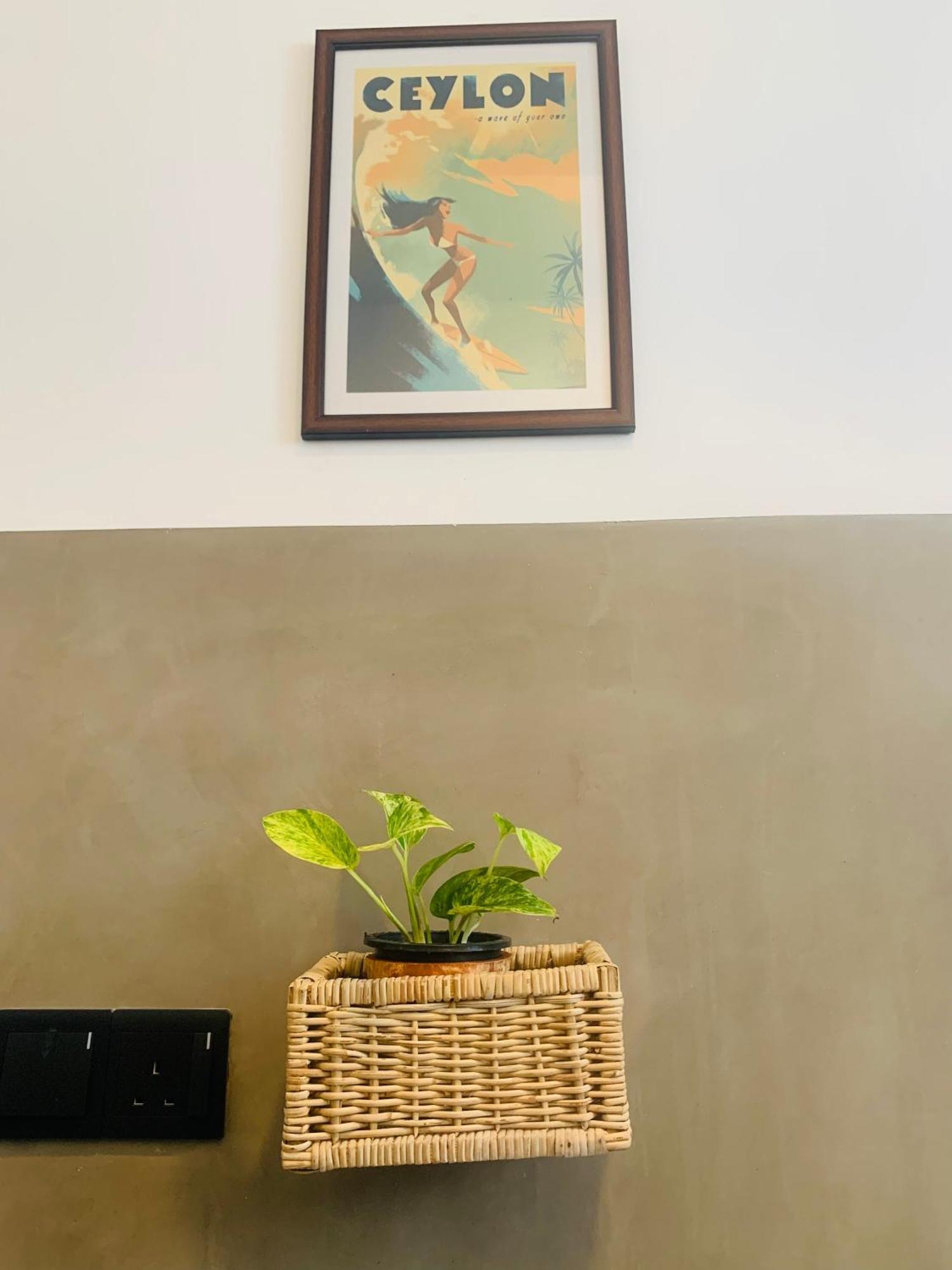 ディックウェラ Thaproo Bay Hiriketiya Bed & Breakfast エクステリア 写真